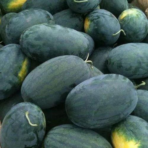 仙桃步行街吃瓜,夏日吃瓜盛地，街头小吃一网打尽