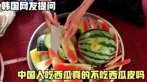 吃瓜不是吃饭