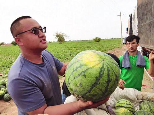 长垣吃瓜新闻事件最新,真相与舆论场上的蝴蝶效应