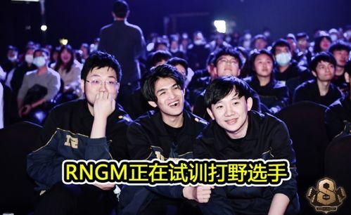 打架吃瓜bgm,一场激情四溢的打架吃瓜大戏